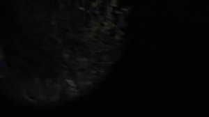 Поймал два РОЯ   Полные ЛОВУШКИ  МЕДА  Пчеловодство для начинающих