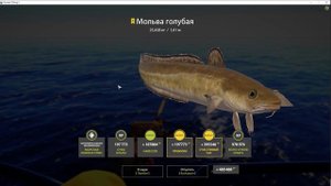 Мольва голубая трофей🍀Русская рыбалка 4🍀РР4🍀RF4🍀Сильный пилкинг🍀