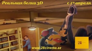 Реальная белка 3D