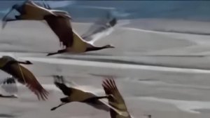 А ты прости меня - Михаил Кармаш