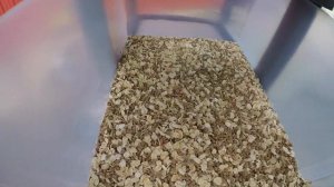 DIY Fishing Bait Mealworm At Home - EASY!