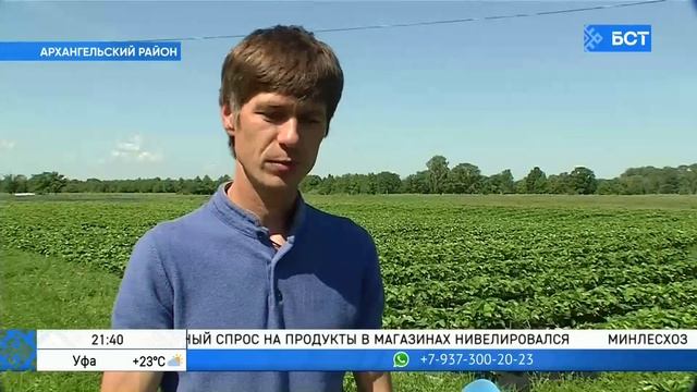 Клубничная экоферма_ как семейная пара из Башкирии реализовала свой бизнес-проект