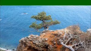 Заповедники  Крыма