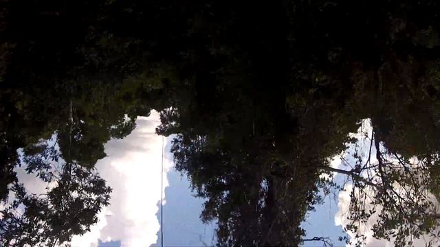 Selvatica ziplining upside down in Cancun, Mexico смотреть онлайн