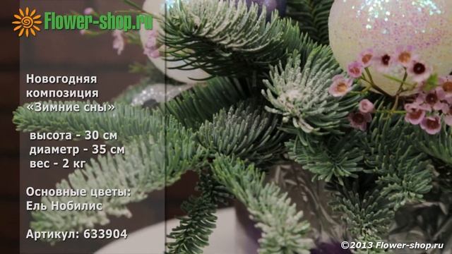 Новогодняя композиция «Зимние сны» смотреть онлайн