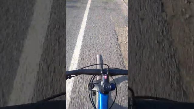 Trek Marlin 6 año 2020 смотреть онлайн