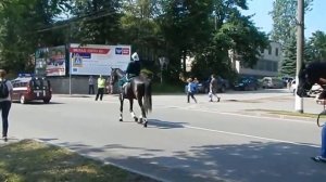 г. Луга 25.06.2016 "День пожарной безопасности Ленинградской области"