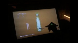 В Египте обнаружена мумия кошки с четырьмя хвостами