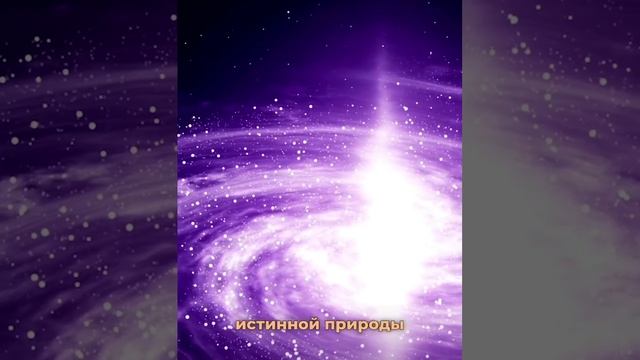 VID_20240130_121909_456