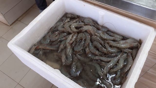 Рыбный рынок в Умм Аль Кувейне 22.03.2023
