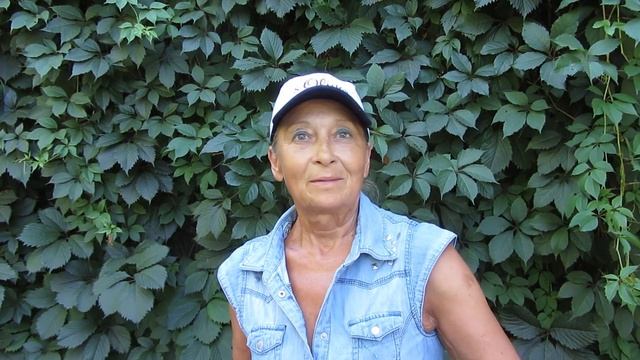 Все, что нужно знать о пансионате "Три Толстяка" смотреть онлайн