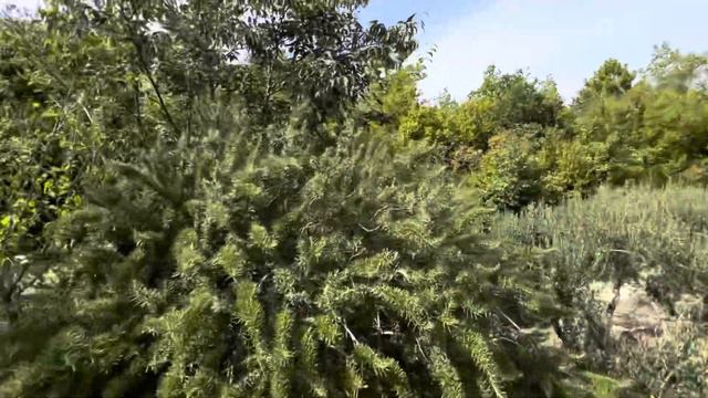 Slime (Makarska - Omis - Split / CROATIA - house #forsale / #adriaINgroup - Denis Hlapcic & Mirta смотреть онлайн