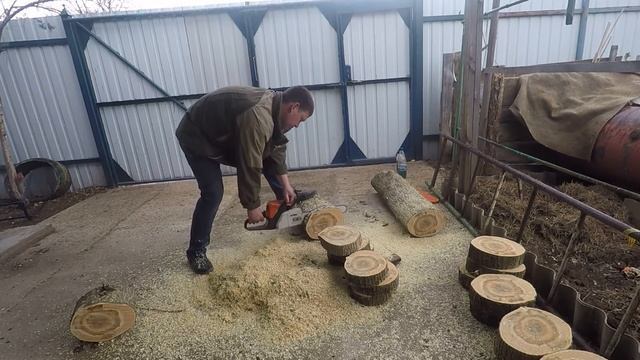 Пилим карагач!!! Делаем заготовки для дачного ландшафта. смотреть онлайн
