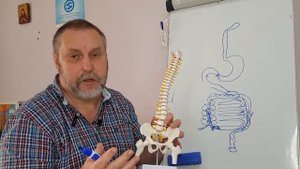Запоры. Почему возникают и как можно вылечить без медикаментов.
