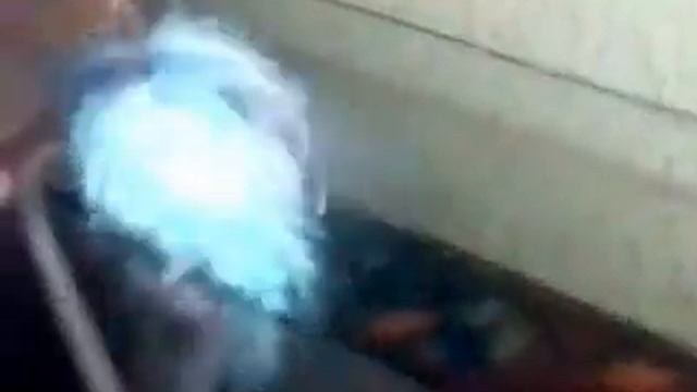 Мой попугай смотреть онлайн