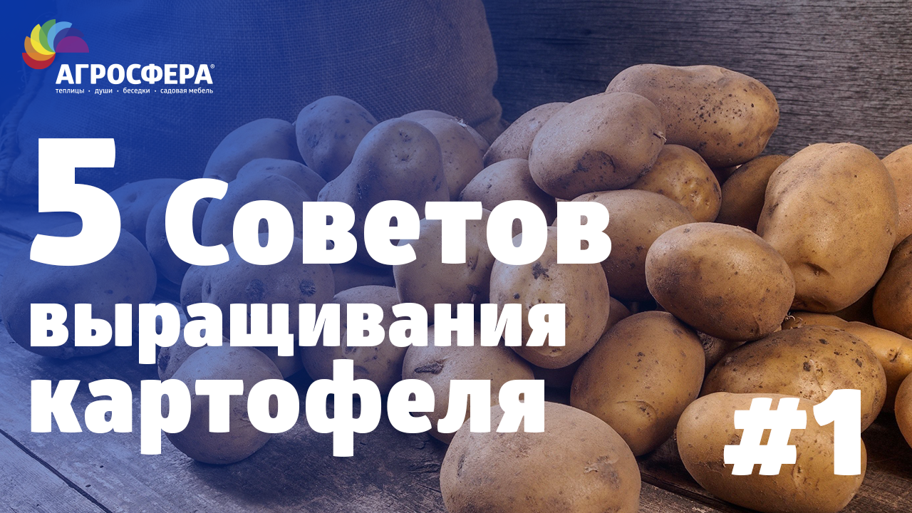 Советы для дачи и сада #1 - выращивание картофеля / агросфера.рф смотреть онлайн