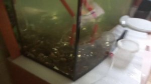 Самодельный фильтр для аквариума на помпу Hose 1000L.