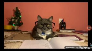 КОТИНЕТ - 9-СЕРИЯ 1-СЕЗОН - УТКА И ЛОТКОВ ВСТРЕЧАЮТ НОВЫЙ ГОД - (Kotiynet-Россия)