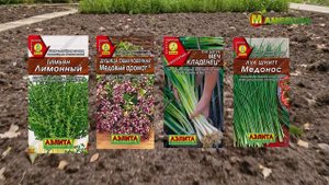 ПОДЗИМНИЙ ПОСЕВ: что посеять, когда и как? Расскажем основные правила!