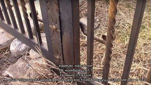 Ошибки начинающих мастеров при изготовлении калитки