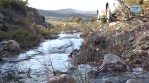 Туристический поезд «Северное сияние» по маршруту Москва Мурманск