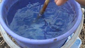 Карбамид ( Мочевина ).Сколько вешать в граммах?