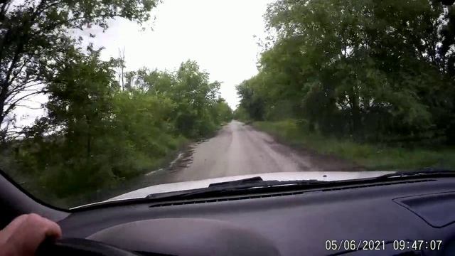 Причина гибели пчел.4100$ затрат.А все ли говорят правду?Качать мёд Белой акации смотреть онлайн