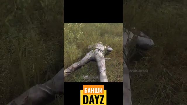 ВОТ ОНА КАКАЯ!!! #dayz #pve #apocalypse