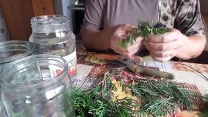 Черенкование туи. Как делаю я...подготовка черенков (1чать)