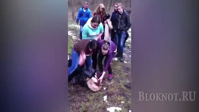 Малолетняя жестокость