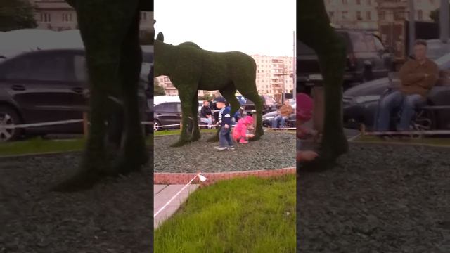 Лось это символ Гольяново! This elk symbol Golyanovo!