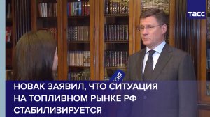 Новак заявил, что ситуация на топливном рынке РФ стабилизируется