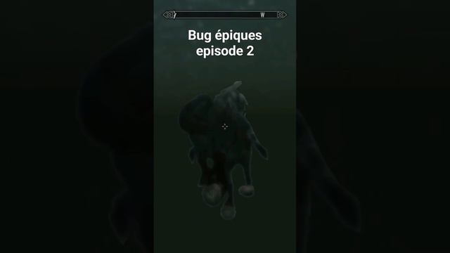 bugs épiques episode 2 #bug #gaming #skyrim