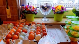 ЗАМОРОЖЕННЫЕ ЯЙЦА / ТЕСТО ИЗ ЗАМОРОЖЕННЫХ ЯИЦ / КАК СОХРАНИТЬ/ ЗАГОТОВКИ ВПРОК / ЭКОНОМИЯ /