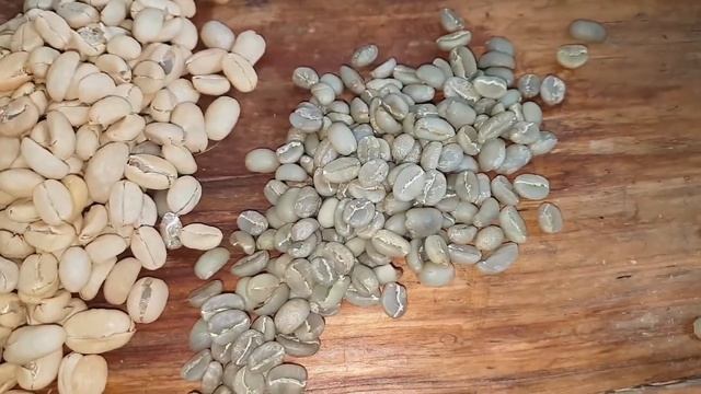 Что такое «парчмент»? смотреть онлайн