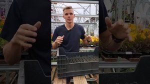 Лотки для гидропоники. Ящики для гидропоники. В чем разница?