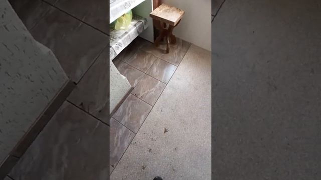 Как избавиться от трещин на печке.