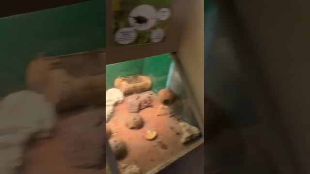 ? Ницца. Тропическая оранжерея под стеклянным куполом — одна из крупнейших теплиц во всей Европе.