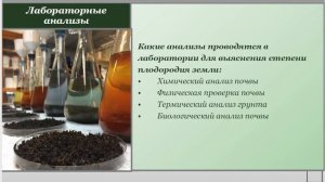 Онлайн урок на тему "Плодородие почвы"