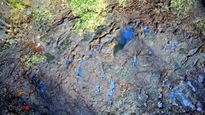 Во Владимирской области озеро ушло под землю вместе с рыбой