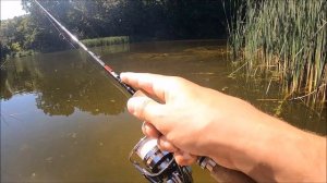 Поехал за щукой, а попал на окуня! Ловля окуня на поппер.