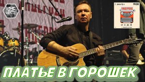 УНДЕРВУД - ПЛАТЬЕ В ГОРОШЕК (live 01/12/2023) от А до Я