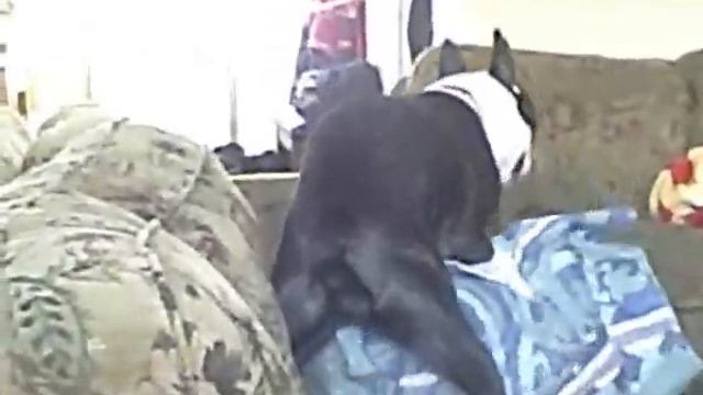 Boss XXX.wmv смотреть онлайн