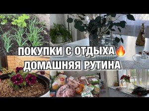 ЧТО ПРИВЕЗЛА С ОТДЫХА? ДОМАШНЯЯ РУТИНА! ЗАКУПОЧКА!  Будни Мамы Влог