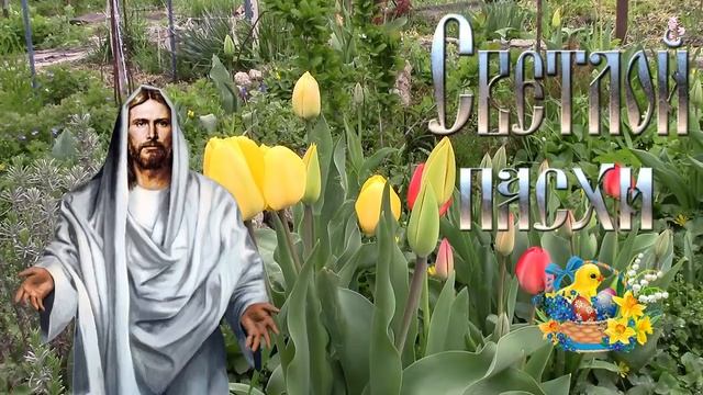 Светлый день Пасхи! Поздравляю! смотреть онлайн