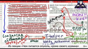 Как развивается рак. Патогенез опухоли на примере лимфомы. Выход ткани из-под контроля: онкогенез