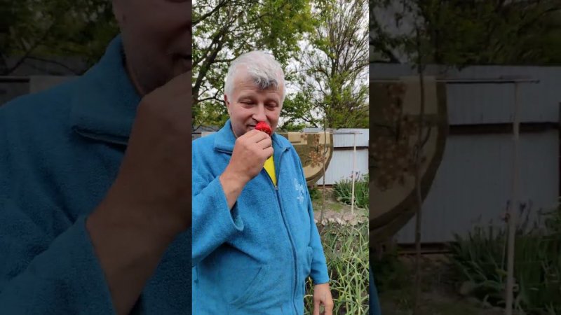витаминчики с огорода