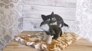 Кошка мама несёт котёнка. ?