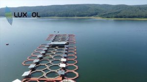 Этапы изготовления сетной камеры для садковой линии Luxsol
