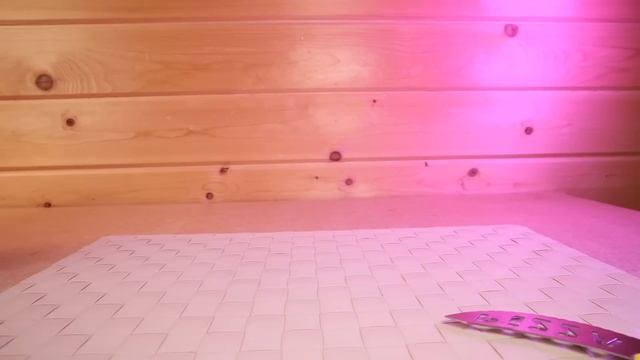 Ищу НОРМАЛЬНЫЕ LOL OMG среди подделок Китайские куклы ЛОЛ ОМГ смотреть онлайн